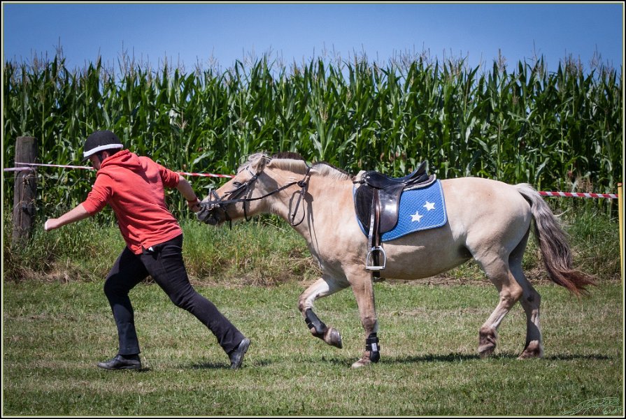 Mounted Games 123